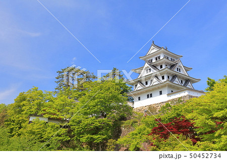 【岐阜県】新緑の郡上八幡城 【岐阜県】新緑の郡上八幡城 50452734
