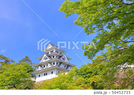 【岐阜県】新緑の郡上八幡城 【岐阜県】新緑の郡上八幡城 50452735