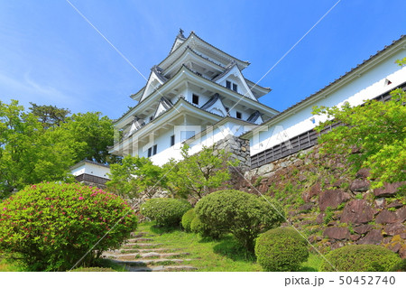 【岐阜県】新緑の郡上八幡城 50452740