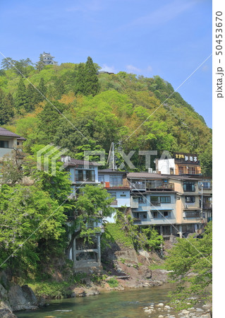 【岐阜県】吉田川と新緑の郡上八幡城 50453670