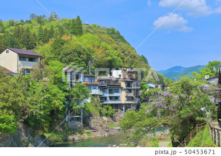 【岐阜県】吉田川と新緑の郡上八幡城 50453671