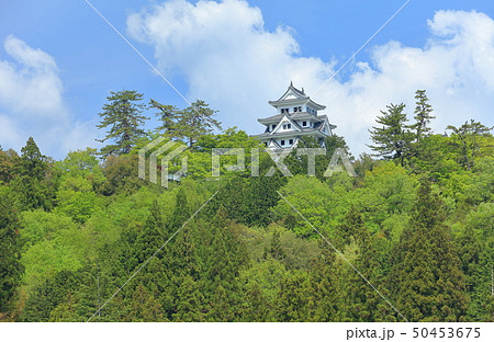 【岐阜県】新緑の郡上八幡城 【岐阜県】新緑の郡上八幡城 50453675