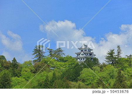 【岐阜県】新緑の郡上八幡城 50453676