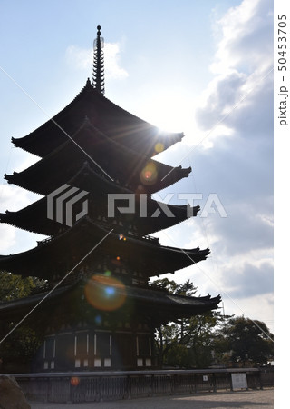 興福寺 興福寺 50453705
