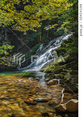 奈良県 済浄坊の滝 夏 新緑 50454199