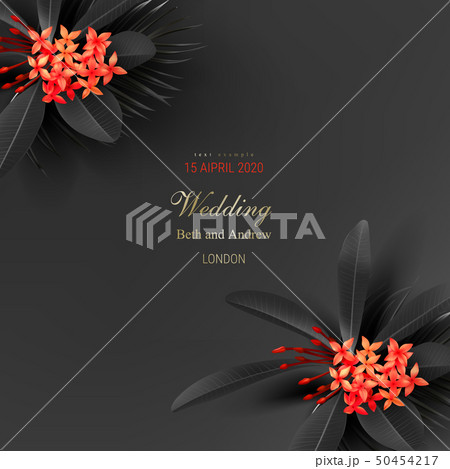 Tropical black leaves and exotic red flower 50454217