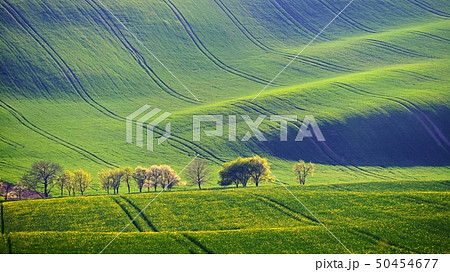 Spring sunset landscape photo of Moravian Tuscany 50454677