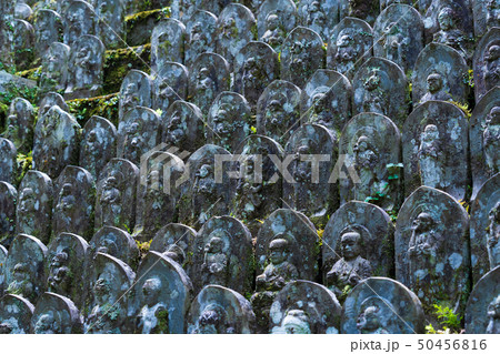 風景物語（四国八十八か所霊場・札所） 50456816