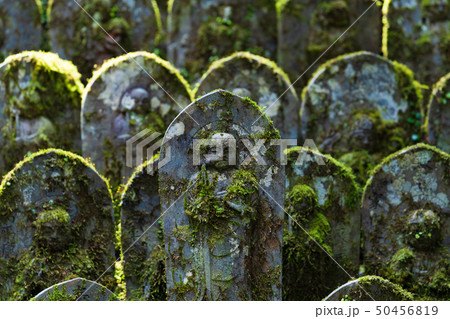 風景物語（四国八十八か所霊場・札所） 50456819