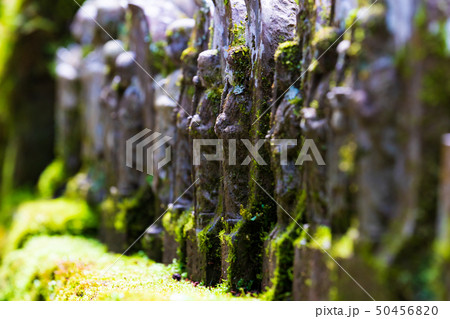 風景物語（四国八十八か所霊場・札所） 50456820