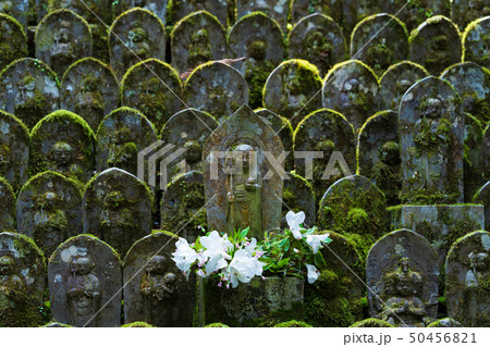 風景物語(四国八十八か所霊場・札所) 風景物語(四国八十八か所霊場・札所) 50456821