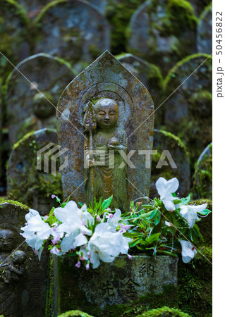 風景物語（四国八十八か所霊場・札所） 50456822