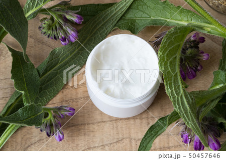 A jar of comfrey cream with fresh symphytum plant A jar of comfrey cream with fresh symphytum plant 50457646