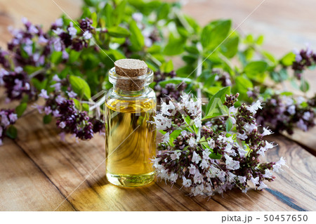 A bottle of oregano essential oil A bottle of oregano essential oil 50457650