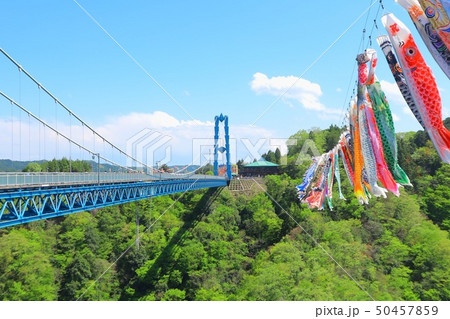 竜神大吊橋 50457859