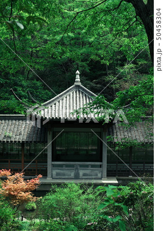 北山緑化植物園　北山墨華亭　兵庫 50458304