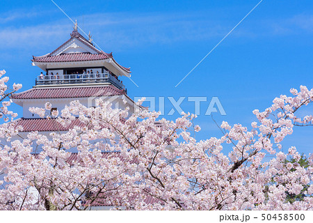 会津若松城　鶴ヶ城 50458500