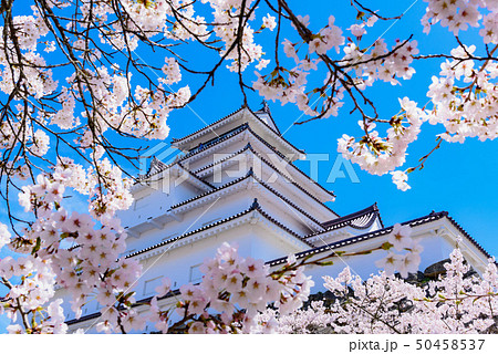 会津若松城　鶴ヶ城 50458537