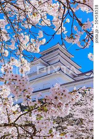 会津若松城　鶴ヶ城 50458538