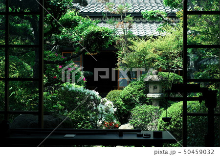 旧山本家住宅 大阪 旧山本家住宅 大阪 50459032