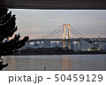 夕方のレインボーブリッジ 50459129