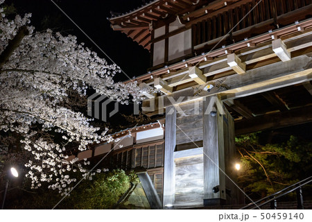 千秋公園 50459140