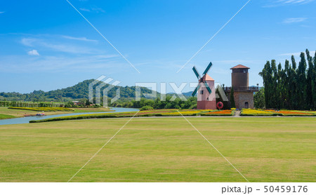 Silverlake vineyard Pattaya 50459176