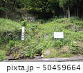 高瀬の金剛水 50459664