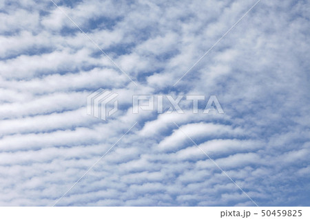 自然 空 雲 50459825