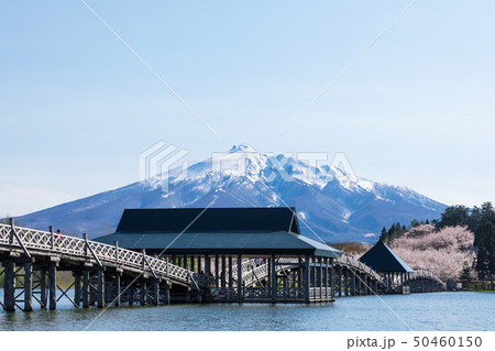 (青森県-風景)鶴の舞橋と岩木山７ 50460150