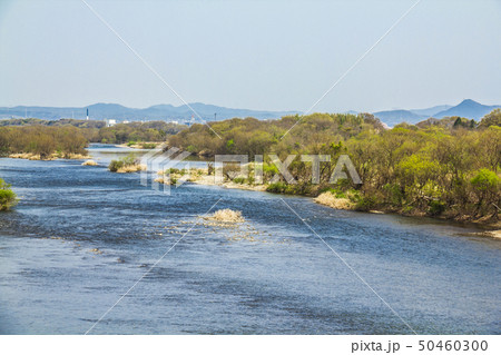 愛知県　木曽川 50460300