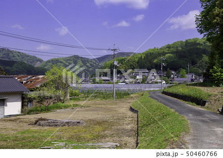 岡山県真庭市 下呰部 春の里山 岡山県真庭市 下呰部 春の里山 50460766