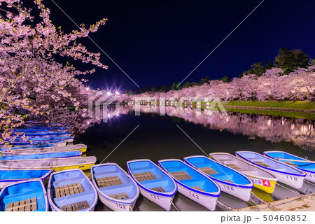 弘前城桜祭り 夜桜 弘前城桜祭り 夜桜 50460852