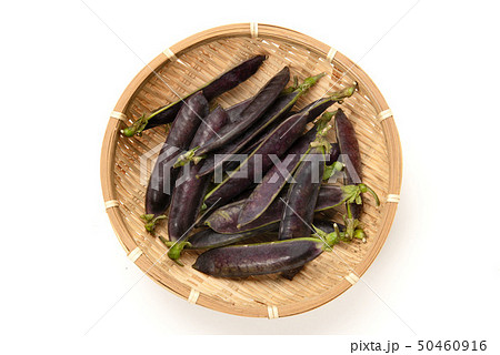 クレオパトラ豆 50460916