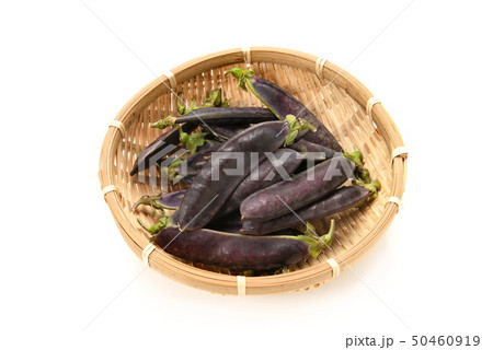 クレオパトラ豆 50460919