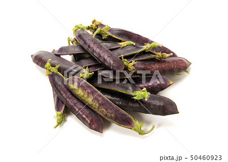 クレオパトラ豆 50460923