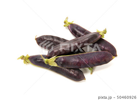 クレオパトラ豆 50460926