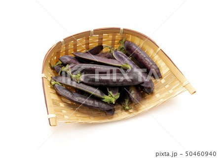 クレオパトラ豆 50460940