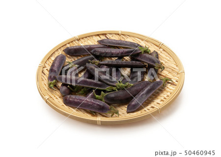 クレオパトラ豆 50460945