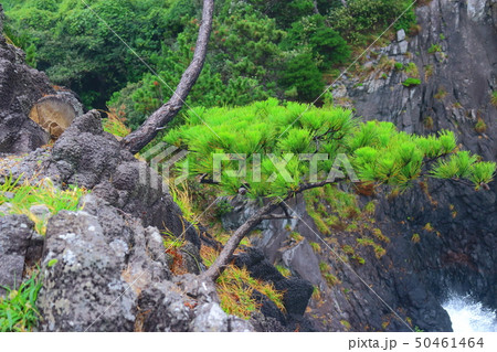 風景 観光 風 50461464
