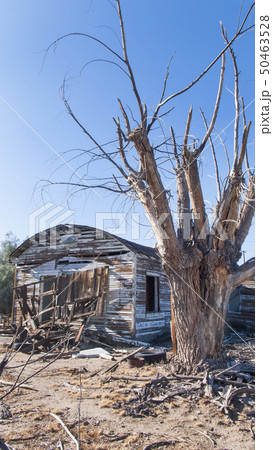 廃墟 50463528