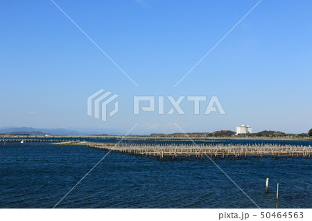 春の浜名湖(静岡県) 春の浜名湖(静岡県) 50464563