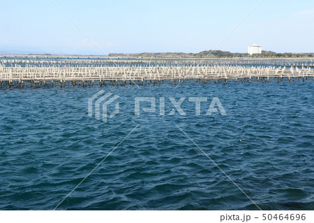春の浜名湖(静岡県) 春の浜名湖(静岡県) 50464696