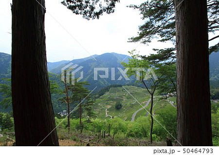 岐阜のマチュピチュ 岐阜のマチュピチュ 50464793