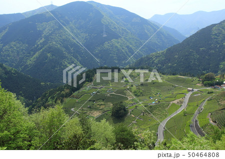 岐阜のマチュピチュ 岐阜のマチュピチュ 50464808