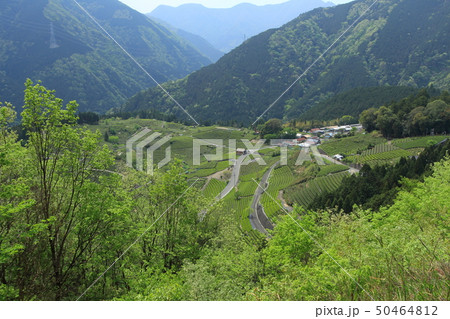 岐阜のマチュピチュ 岐阜のマチュピチュ 50464812