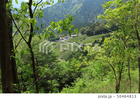 岐阜のマチュピチュ 50464813