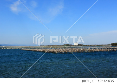春の浜名湖(静岡県) 春の浜名湖(静岡県) 50464835