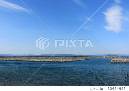 春の浜名湖(静岡県) 春の浜名湖(静岡県) 50464945