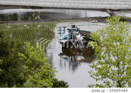 田植え とちぎの星 田植機 農業 男性 シニア 郊外 五月 稲作 水田 機械 農業機械 田植え とちぎの星 田植機 農業 男性 シニア 郊外 五月 稲作 水田 機械 農業機械 50465484
